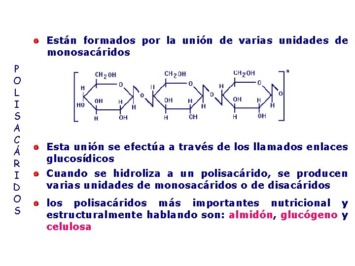 Están formados por la unión de varias unidades de monosacáridos P O L I