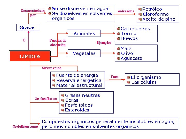 Se caracterizan por No se disuelven en agua. Se disuelven en solventes orgánicos entre