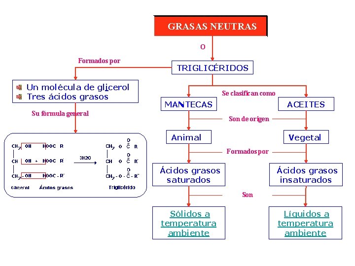 GRASAS NEUTRAS O Formados por Un molécula de glicerol Tres ácidos grasos TRIGLICÉRIDOS Se