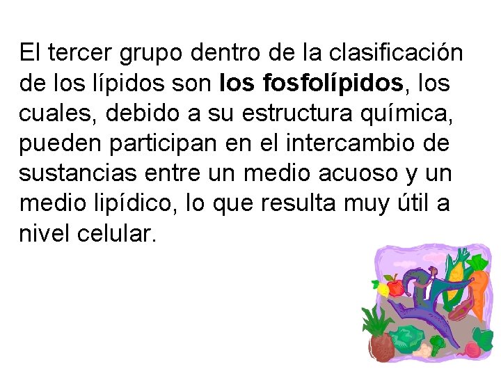 El tercer grupo dentro de la clasificación de los lípidos son los fosfolípidos, los