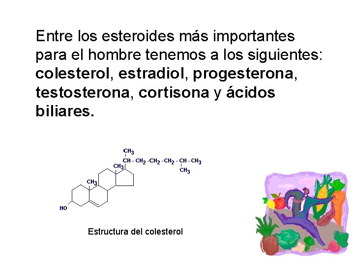 Entre los esteroides más importantes para el hombre tenemos a los siguientes: colesterol, estradiol,