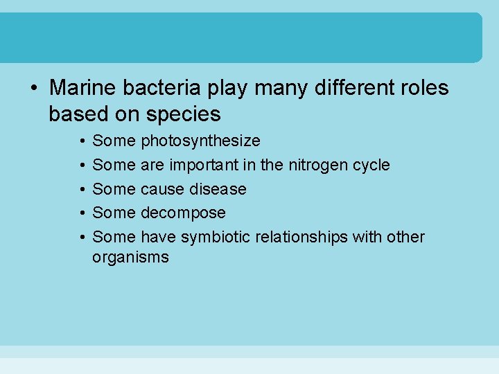  • Marine bacteria play many different roles based on species • • •