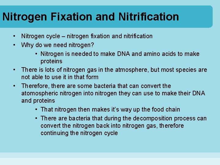 Nitrogen Fixation and Nitrification • Nitrogen cycle – nitrogen fixation and nitrification • Why