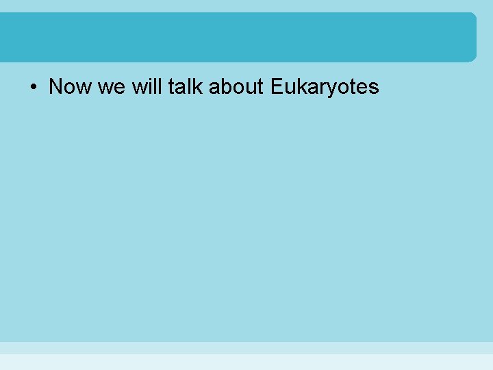  • Now we will talk about Eukaryotes 