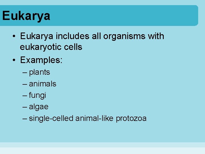 Eukarya • Eukarya includes all organisms with eukaryotic cells • Examples: – plants –