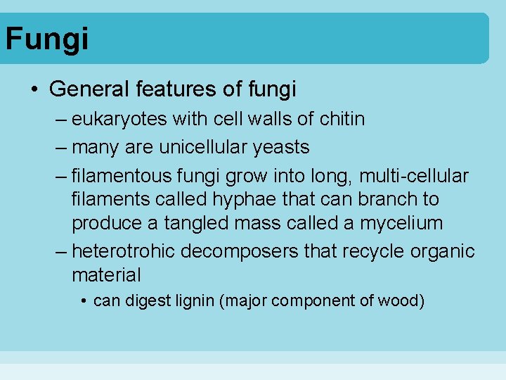 Fungi • General features of fungi – eukaryotes with cell walls of chitin –