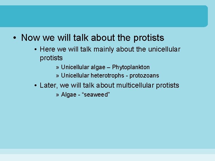  • Now we will talk about the protists • Here we will talk