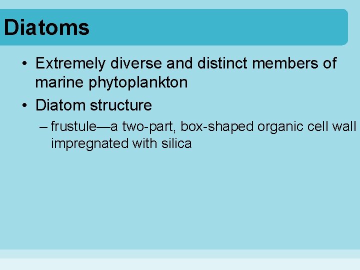 Diatoms • Extremely diverse and distinct members of marine phytoplankton • Diatom structure –