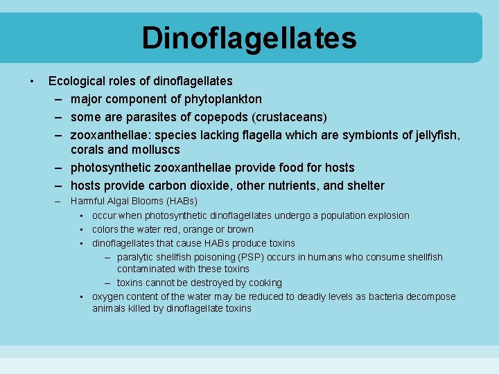 Dinoflagellates • Ecological roles of dinoflagellates – major component of phytoplankton – some are