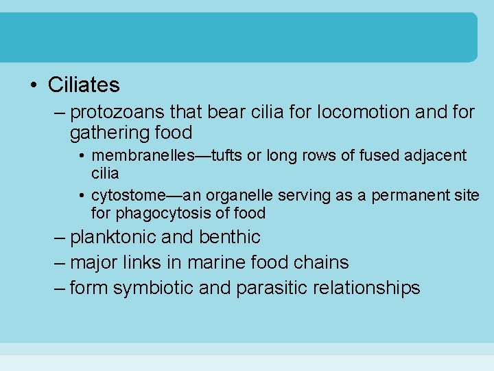  • Ciliates – protozoans that bear cilia for locomotion and for gathering food