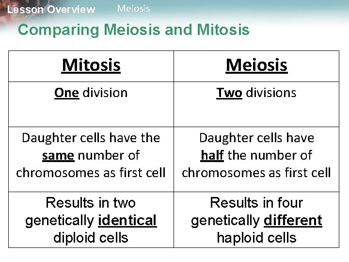 Lesson Overview Meiosis Comparing Meiosis and Mitosis Meiosis One division Two divisions Daughter cells