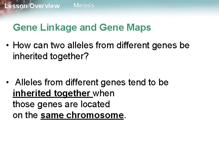 Lesson Overview Meiosis Gene Linkage and Gene Maps • How can two alleles from