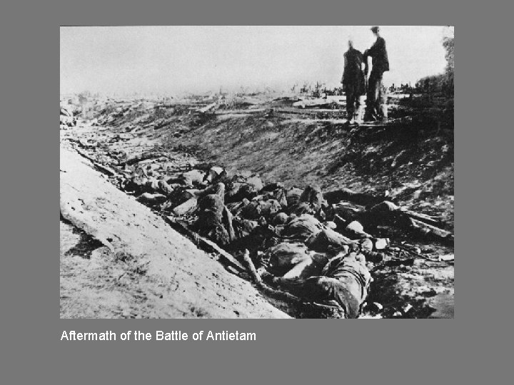 Aftermath of the Battle of Antietam 