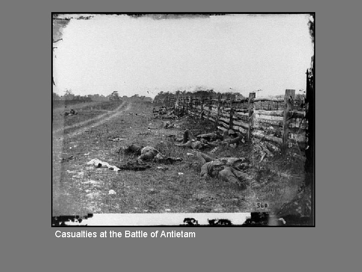 Casualties at the Battle of Antietam 