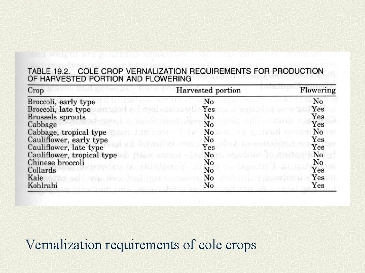 Vernalization requirements of cole crops 