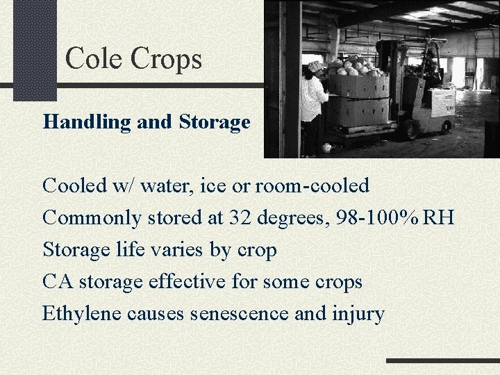 Cole Crops Handling and Storage Cooled w/ water, ice or room-cooled Commonly stored at