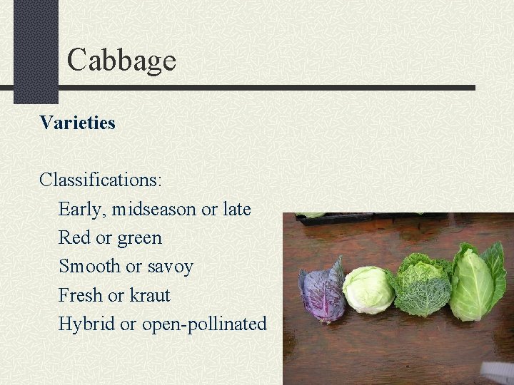 Cabbage Varieties Classifications: Early, midseason or late Red or green Smooth or savoy Fresh