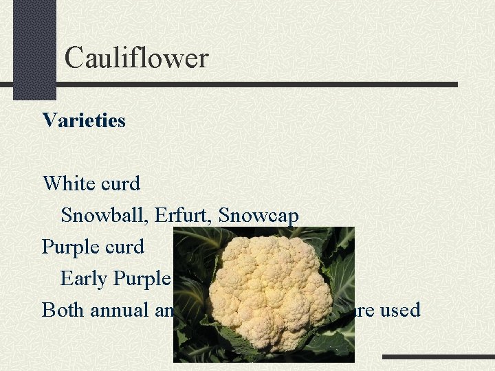 Cauliflower Varieties White curd Snowball, Erfurt, Snowcap Purple curd Early Purple Head Both annual