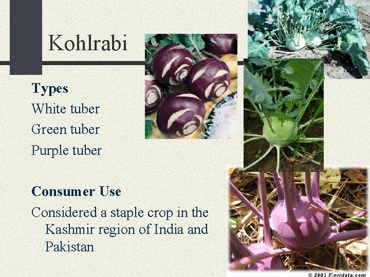 Kohlrabi Types White tuber Green tuber Purple tuber Consumer Use Considered a staple crop