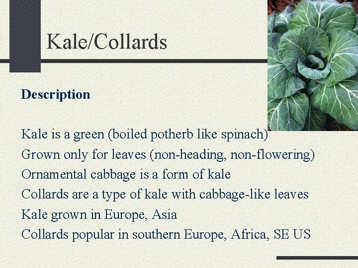 Kale/Collards Description Kale is a green (boiled potherb like spinach) Grown only for leaves