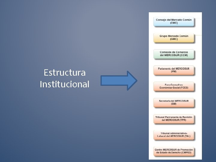 Estructura Institucional 