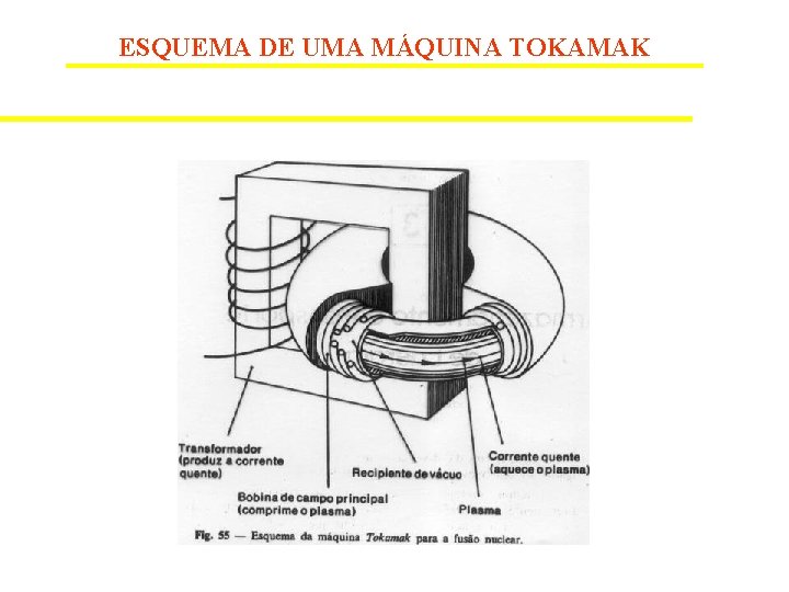 ESQUEMA DE UMA MÁQUINA TOKAMAK 