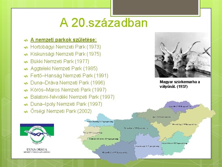 A 20. században A nemzeti parkok születése: Hortobágyi Nemzeti Park (1973) Kiskunsági Nemzeti Park