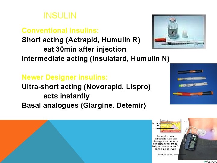 INSULIN Conventional insulins: Short acting (Actrapid, Humulin R) eat 30 min after injection Intermediate