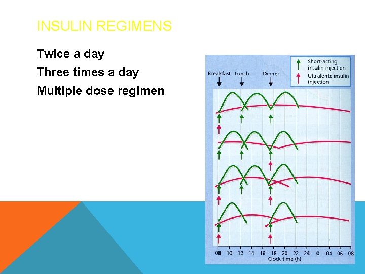 INSULIN REGIMENS Twice a day Three times a day Multiple dose regimen 