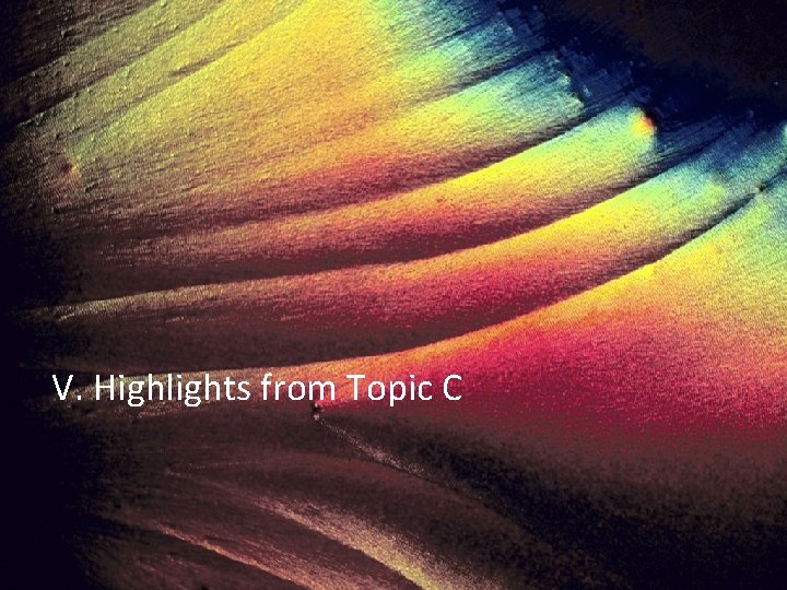 V. Highlights from Topic C 