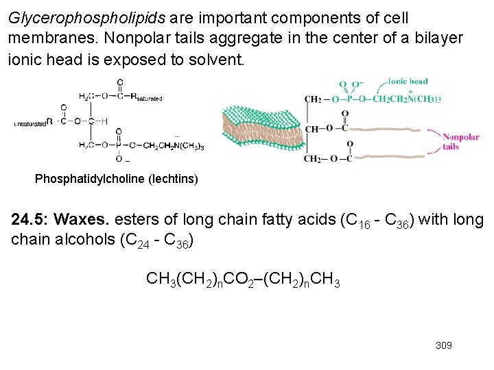 Glycerophospholipids are important components of cell membranes. Nonpolar tails aggregate in the center of