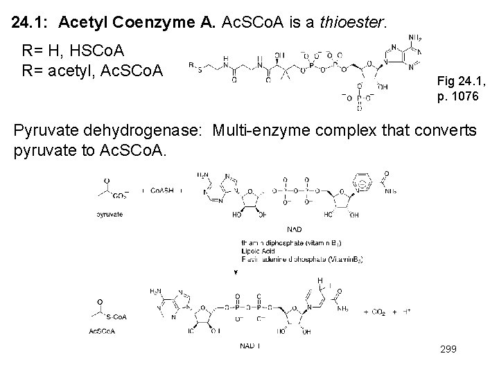 24. 1: Acetyl Coenzyme A. Ac. SCo. A is a thioester. R= H, HSCo.