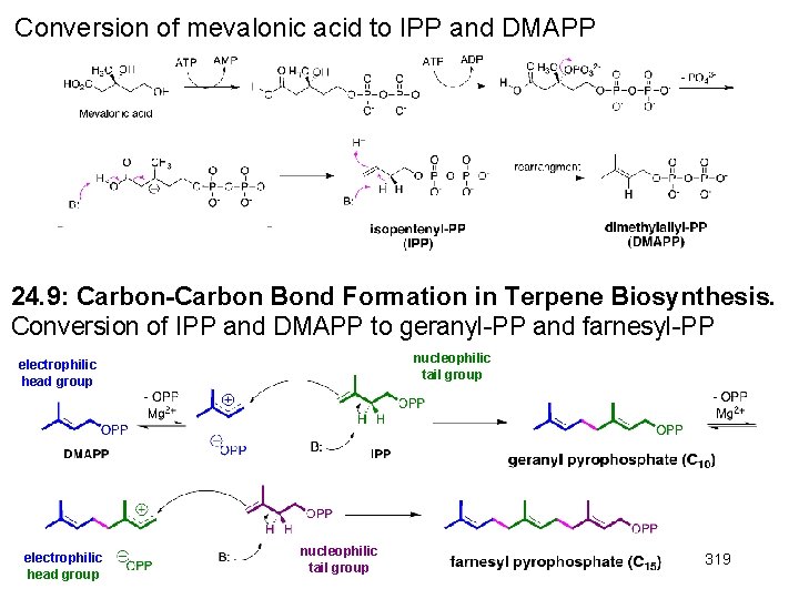 Conversion of mevalonic acid to IPP and DMAPP 24. 9: Carbon-Carbon Bond Formation in