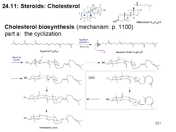 24. 11: Steroids: Cholesterol biosynthesis (mechanism: p. 1100) part a: the cyclization 321 