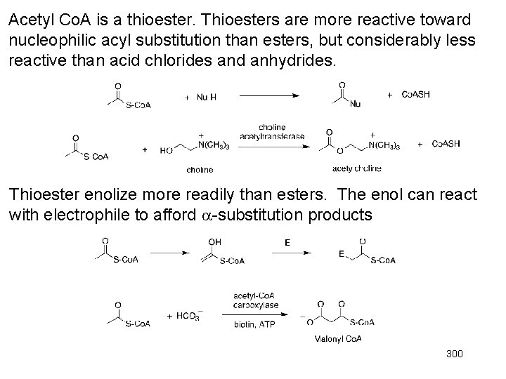 Acetyl Co. A is a thioester. Thioesters are more reactive toward nucleophilic acyl substitution