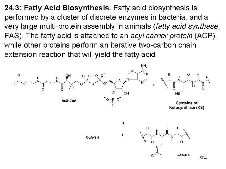 24. 3: Fatty Acid Biosynthesis. Fatty acid biosynthesis is performed by a cluster of