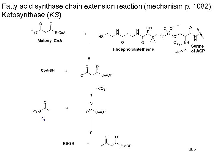 Fatty acid synthase chain extension reaction (mechanism p. 1082): Ketosynthase (KS) C 2 305