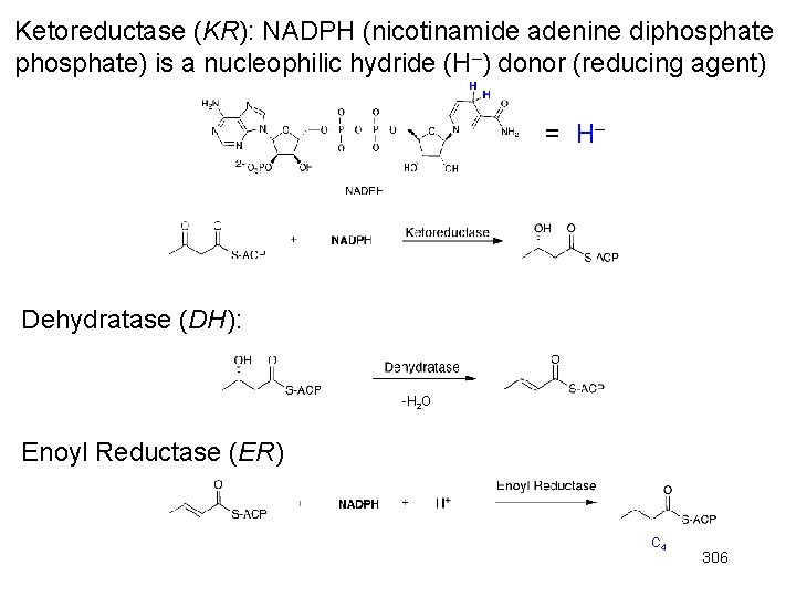 Ketoreductase (KR): NADPH (nicotinamide adenine diphosphate) is a nucleophilic hydride (H–) donor (reducing agent)