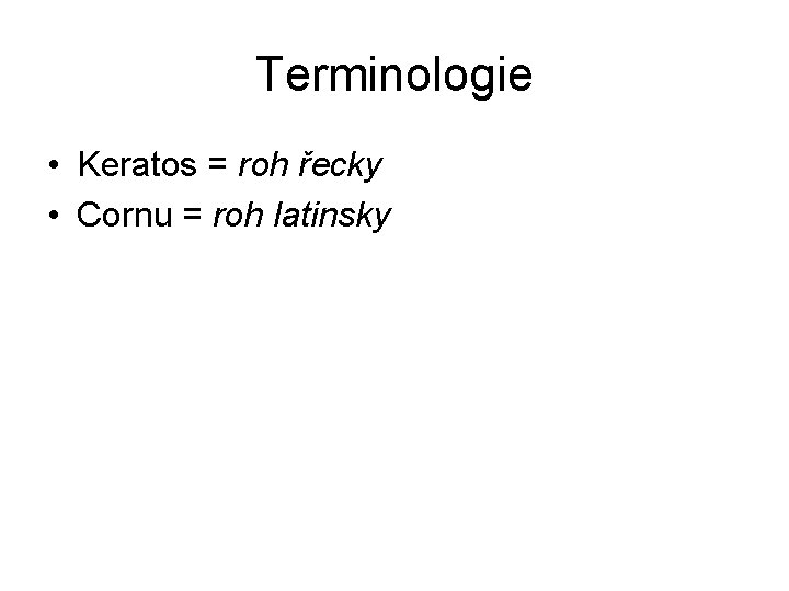 Terminologie • Keratos = roh řecky • Cornu = roh latinsky 