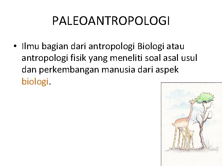 PALEOANTROPOLOGI • Ilmu bagian dari antropologi Biologi atau antropologi fisik yang meneliti soal asal