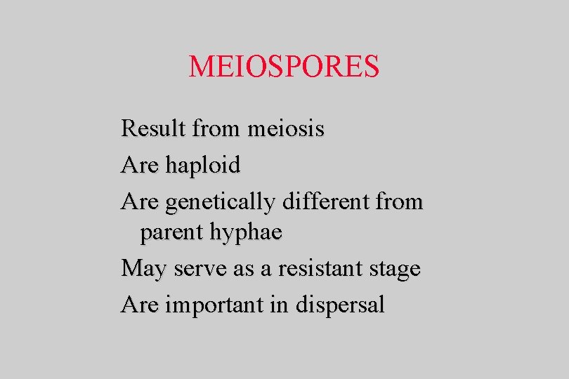 MEIOSPORES Result from meiosis Are haploid Are genetically different from parent hyphae May serve