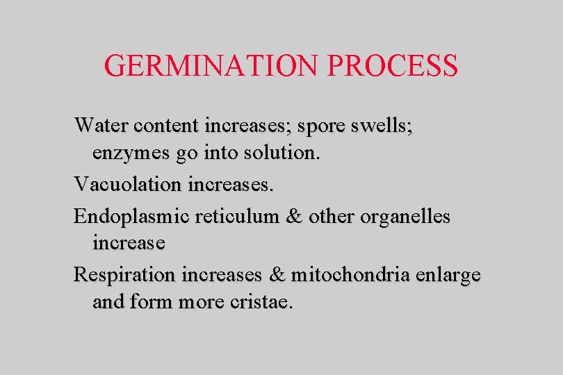 GERMINATION PROCESS Water content increases; spore swells; enzymes go into solution. Vacuolation increases. Endoplasmic