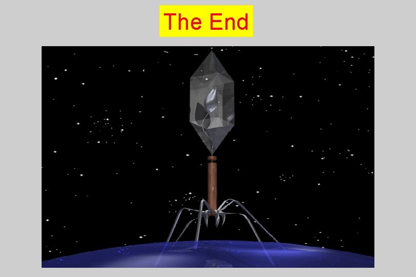 The End 