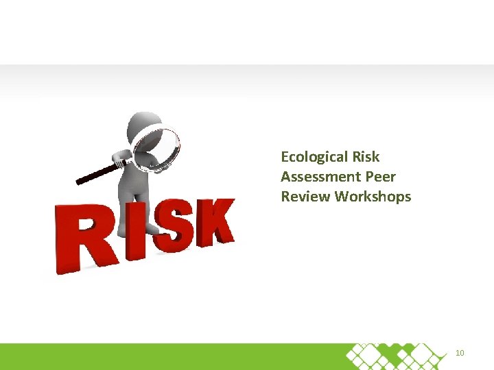 Ecological Risk Assessment Peer Review Workshops 10 