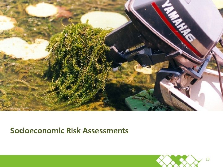 Socioeconomic Risk Assessments 13 