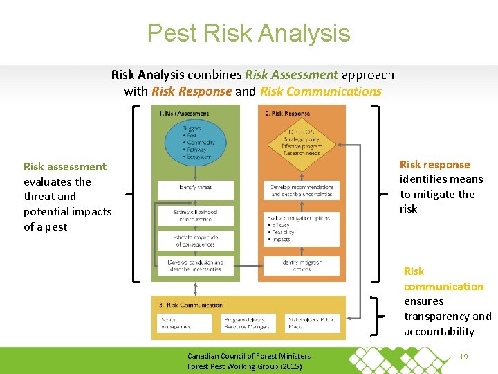 Pest Risk Analysis combines Risk Assessment approach with Risk Response and Risk Communications Risk