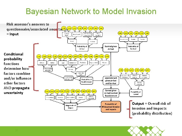 Bayesian Network to Model Invasion Risk assessor’s answers to questionnaire/associated uncertainty = Input Conditional