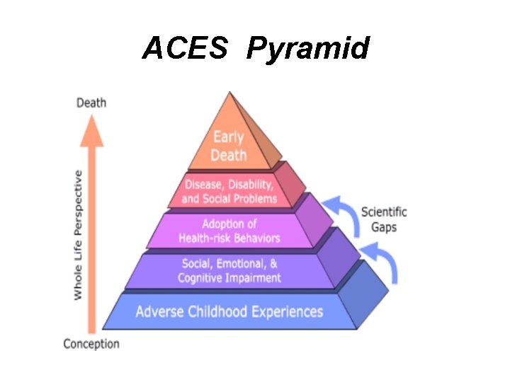 ACES Pyramid ACES Pyramid
