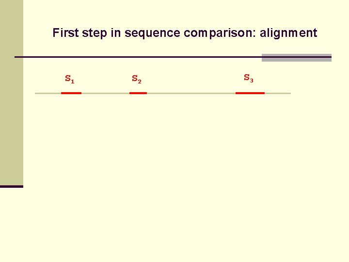 First step in sequence comparison: alignment S 1 S 2 S 3 