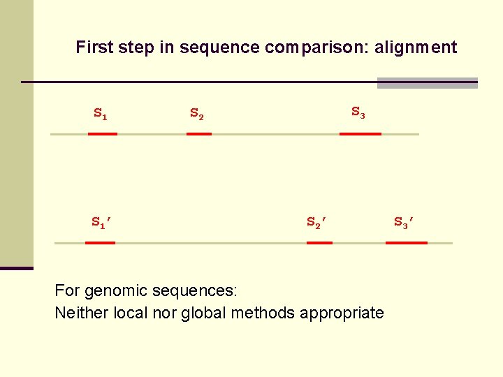 First step in sequence comparison: alignment S 1’ S 3 S 2’ For genomic